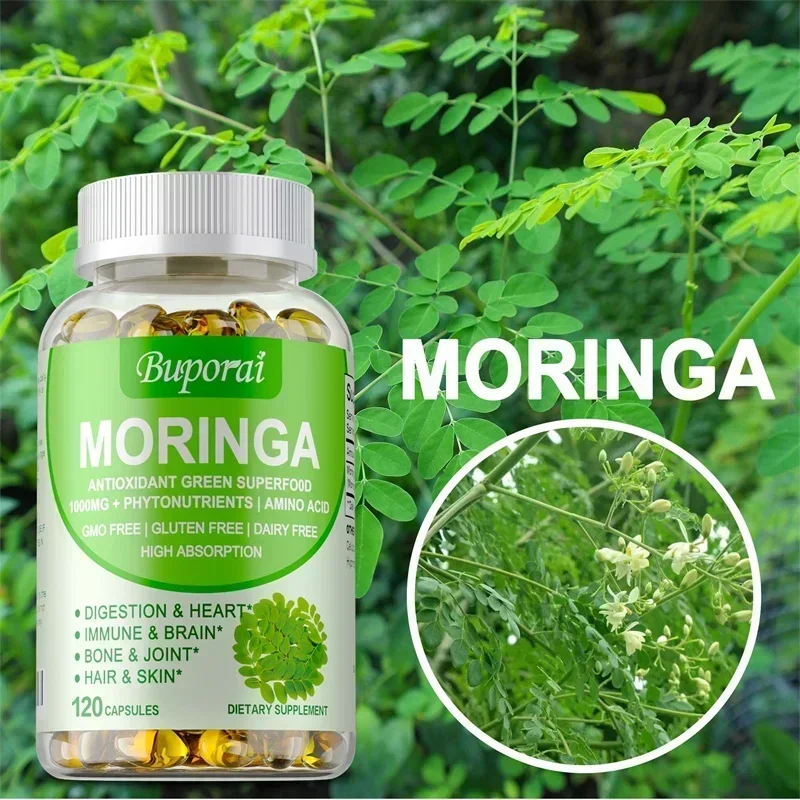 Moringa Leaf Powder - Moringa-capsules - Ondersteuning van het immuunsysteem,